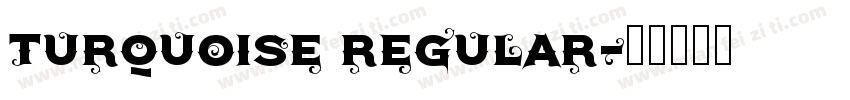 Turquoise Regular字体转换